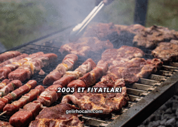2003 Et Fiyatları